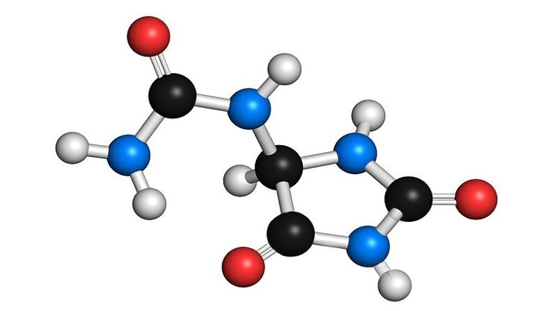 Allantoin dans Hondrolife